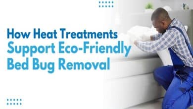 How Heat Treatments Support Eco Friendly Bed Bug Removal