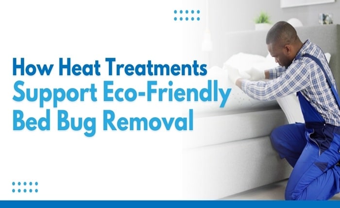 How Heat Treatments Support Eco Friendly Bed Bug Removal