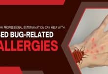 How Professional Extermination Can Help with Bed Bug Related Allergies