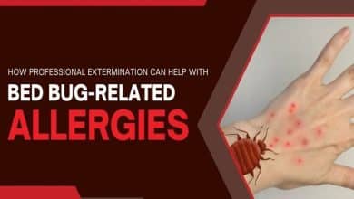 How Professional Extermination Can Help with Bed Bug Related Allergies