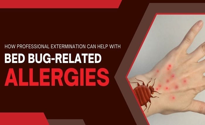 How Professional Extermination Can Help with Bed Bug Related Allergies