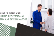 What to Expect When Hiring Professional Bed Bug Exterminators