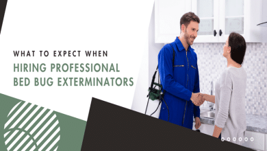 What to Expect When Hiring Professional Bed Bug Exterminators