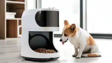 view automatic smart feeder household pets 1