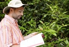 handsome botanist with stubble wearing striped shirt holding manual guide one hand green plant with flowers another studying its characteristics with happy joyful look 273609 6413