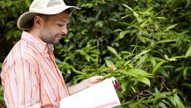 handsome botanist with stubble wearing striped shirt holding manual guide one hand green plant with flowers another studying its characteristics with happy joyful look 273609 6413