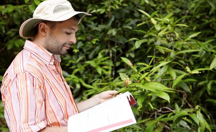 handsome botanist with stubble wearing striped shirt holding manual guide one hand green plant with flowers another studying its characteristics with happy joyful look 273609 6413