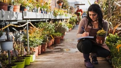 gardener making notes about flower 23 2147768545