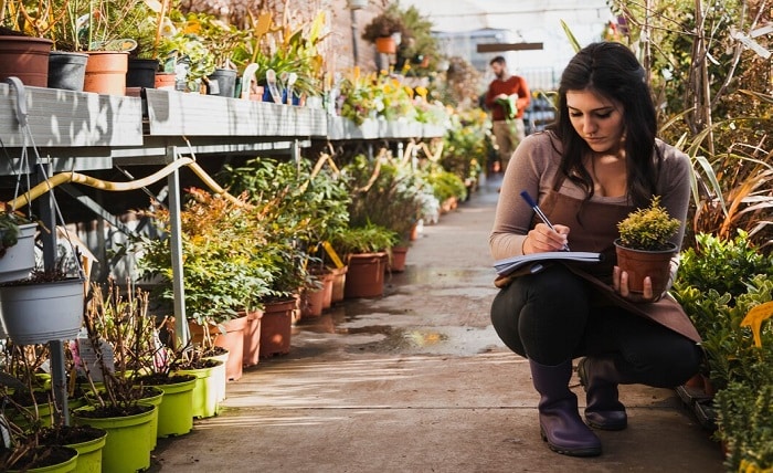 gardener making notes about flower 23 2147768545