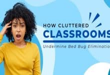 How Cluttered Classrooms Undermine Bed Bug Elimination
