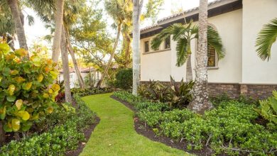 How Sarasota Countys Specialists Keep Lawns Healthy Year Round