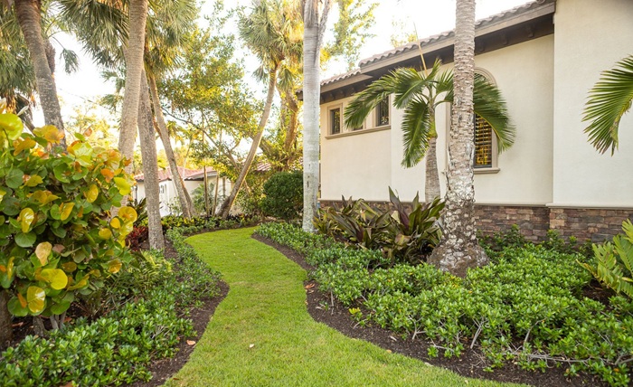 How Sarasota Countys Specialists Keep Lawns Healthy Year Round