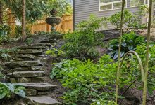 im3rd media gyuwwDX1nAI unsplash