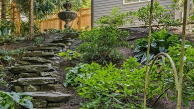 im3rd media gyuwwDX1nAI unsplash