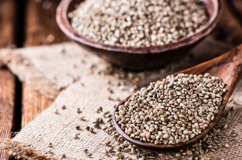 Health Benefits of Hemp Seeds You Should Know