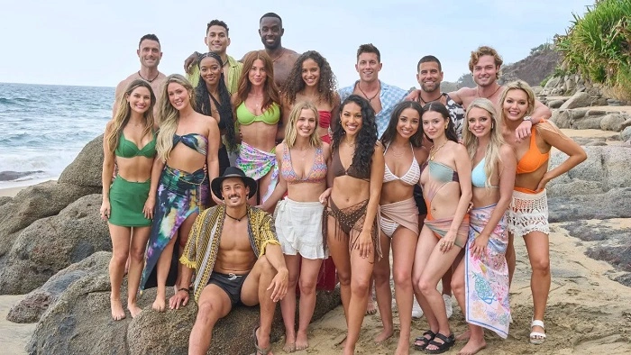 What Is Bachelor in Paradise