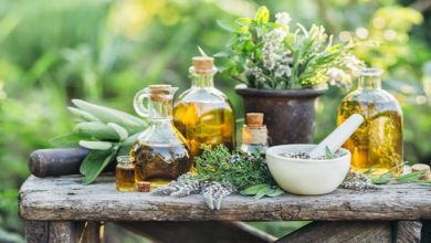 What Makes Herbal Recognizable Among Hybrids