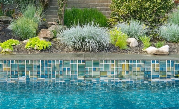 How to Choose the Right Pool Tile for a Stunning Backyard