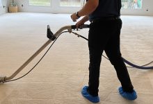 The Importance of Professional Carpet Care for Long Term Flooring Protection