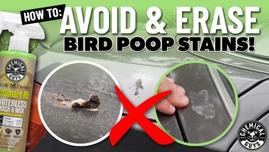 Ways To Protect Paint From Aussie UV And Bird Droppings