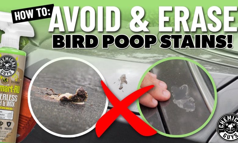 Ways To Protect Paint From Aussie UV And Bird Droppings