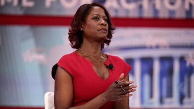 deneen borelli net worth