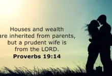 bible verse about wife